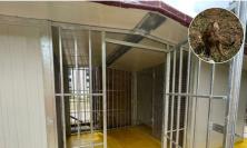 Macerata, riorganizzata la colonia felina del cimitero: "Popolazione animale stabile e sana"