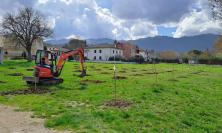 Un albero per ogni nuovo nato: Matelica celebra la vita e l'ambiente in via Aldo Moro