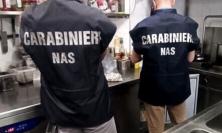 Formiche sui piani di lavoro e carcassa di topo: chiuso ristorante chalet a Civitanova