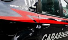 Cingoli, il fiuto del cane "One" scova la droga vicino alle scuole: controlli a tappeto dei carabinieri