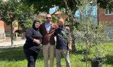 Matelica, piantati sei alberi in memoria di Beljdi Seferi