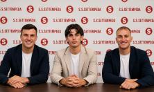 Settempeda, tris di conferme in difesa: restano Brandi, Dutto e Zappasodi