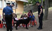 I cani dei Carabinieri conquistano i bambini della scuola di Macerata