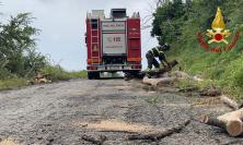 Maltempo nel Maceratese, violenta grandinata nell'entroterra: auto esce di strada a Cingoli, soccorsa una donna