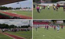 Festa del calcio giovanile all'Helvia Recina: in 300 sul campo di Macerata per la Clementoni Cup