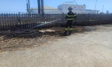 Porto Recanati, principio d'incendio a ridosso della ferrovia: non si esclude il dolo (FOTO)