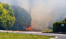 Incendio in un campo di grano a Urbisaglia, bruciati quattro ettari (Video)