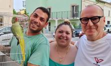 Colmurano, il tam tam social salva un pappagallo smarrito: "Poli" riabbraccia la sua famiglia