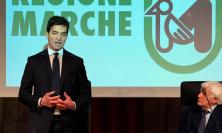 Quasi 5mila laureati in fuga dalle Marche: la Regione corre ai ripari con bonus assunzioni per gli under 36