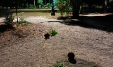 Matelica nel mirino dei vandali: danneggiati i Giardini Bigiaretti appena sistemati