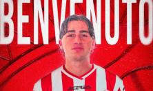 Maceratese, ufficiale Lorenzo Pesaresi: arriva l'esterno dalla Recanatese