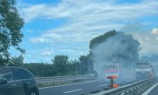 Incendio ai bordi della superstrada: sterpaglie in fiamme tra Morrovalle e Montecosaro