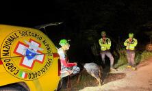 Tragedia nei boschi di Montegallo: trovato morto il fungaiolo disperso
