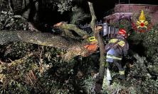 Maltempo nelle Marche, quasi 300 interventi dei vigili del fuoco. Piergallini: "Subito lo stato di emergenza"