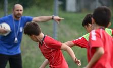 ASD Camerino Castelraimondo, Andrea Grespini nuovo presidente del club