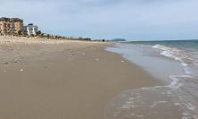 Civitanova, divieto temporaneo di balneazione a nord della foce del Chienti
