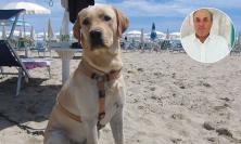 "Patentino obbligatorio per chi possiede un cane": dalle Marche la proposta di legge