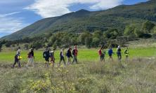 Pioraco Summer Fest 2026, musica, street food ed escursioni: due giorni di eventi per Ferragosto