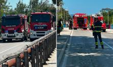 Fiamme in un canneto a Porto Recanati: intervento dei vigili del fuoco