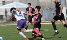 Eccellenza, ecco i calendari: subito un derby maceratese alla prima, si parte il 6 settembre