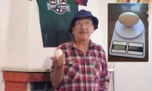 Cingoli, la gallina fa il “regalo” di Ferragosto: uovo da 220 grammi