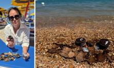 Porto Recanati, residui di fuochi d'artificio in mare: "Plastica e metalli pesanti finiscono nella catena alimentare"