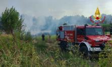 Corridonia, incendio di sterpaglie sull’argine del Chienti: intervengono i Vigili del fuoco