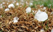 Ultimo sabato d'agosto con allerta meteo nelle Marche: possibili grandinate e forti raffiche di vento
