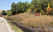 Cingoli, incendio di sterpaglie: intervento dei vigili del fuoco