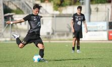 Eccellenza Marche: campionato tra conferme e sorprese