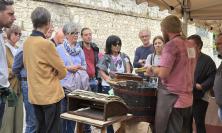MicoVerso 2026, a Serravalle di Chienti torna il Festival dei Funghi