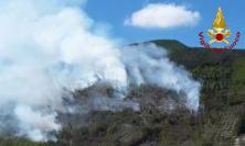 Incendio boschivo a Caldarola, intervento vigili del fuoco