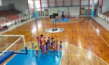 Amatori Basket San Severino, torna il Memorial Toti Barone: in campo anche Vigor Matelica e Cus Macerata