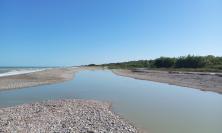 "Il Chienti che non vediamo": a Civitanova due giornate per riscoprire la storia e l'ambiente del fiume