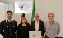 Visso, presentato il calendario 2027 del Parco dei Monti Sibillini