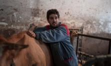 Copagri Marche Sud, Yuri Maggi è il nuovo presidente: "Fare squadra per sostenere le imprese agricole"