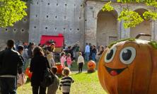 "Prendersi cura della propria zucca": a Mogliano due giorni dedicati alla salute mentale