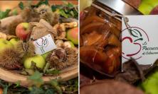 Cibo, salute e sostenibilità: a Colmurano il confronto su come nutrirsi meglio