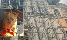 Addio a Bibbi, la cagnolina che portò un sorriso agli sfollati di Visso dopo il terremoto