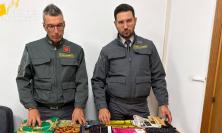 Louis Vuitton, Gucci e Dior falsi: maxi sequestro di oltre 150mila capi a Civitanova