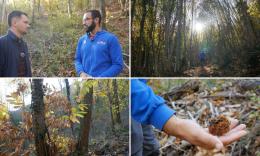 Recupero dei Castagneti Bassi a Pioraco: in autunno il bosco torna vivo tra sentieri e castagne (VIDEO)