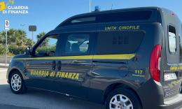 Civitanova, uomo fermato in auto con spinello: perquisita casa, sequestrati 135 grammi di droga