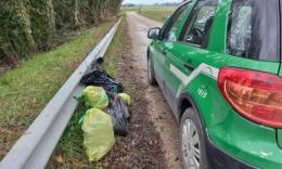 Porto Recanati, giallo delle carcasse di cani abbandonate a Scossicci: c'è un indagato