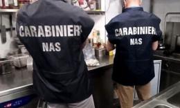 Formiche sui piani di lavoro e carcassa di topo: chiuso ristorante chalet a Civitanova