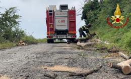 Maltempo nel Maceratese, violenta grandinata nell'entroterra: auto esce di strada a Cingoli, soccorsa una donna