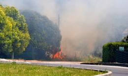 Incendio in un campo di grano a Urbisaglia, bruciati quattro ettari (Video)