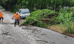 Maltempo, round 2 ad agosto nelle Marche: scatta l'allerta gialla per temporali, pericolo vento
