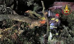 Maltempo nelle Marche, quasi 300 interventi dei vigili del fuoco. Piergallini: "Subito lo stato di emergenza"