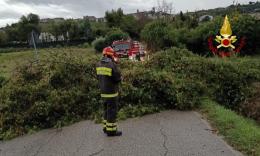 Maltempo Marche, oltre 30 interventi dei Vigili del Fuoco tra alberi caduti e allagamenti