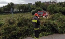Maltempo, nuova allerta gialla nelle Marche: sabato segnato da temporali e rovesci (anche intensi)